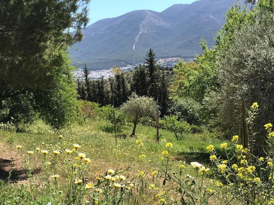 Penthouse Apartment, Cortijo Fruitful Hills Malaga Bagian luar foto