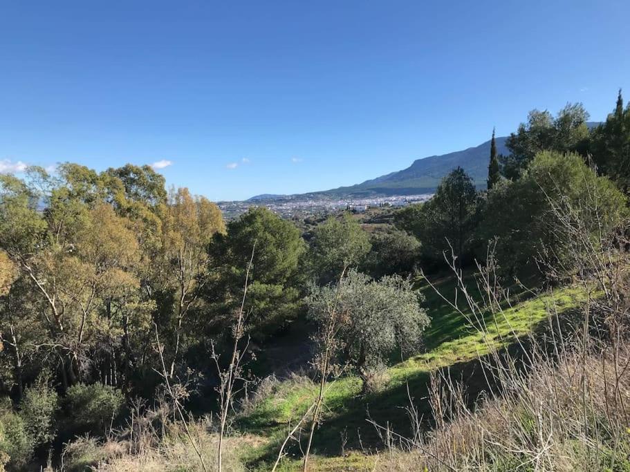 Penthouse Apartment, Cortijo Fruitful Hills Malaga Bagian luar foto