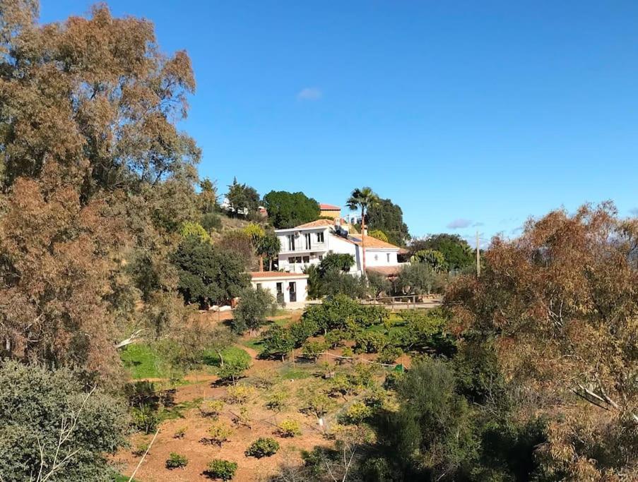 Penthouse Apartment, Cortijo Fruitful Hills Malaga Bagian luar foto
